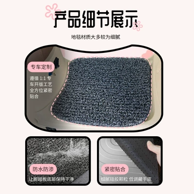 No.9 Q3 80C Electric Vehicle: Electric vehicle foot mat