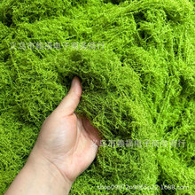 �����羳ֱ������̦�\�z��ƺֲ�����������c�辰������̦���l