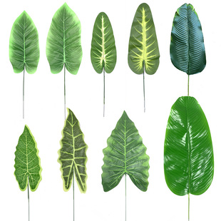 �����ֲ֧���~�����˽��~�����~�����~�����~����~�����~�Ĕz��