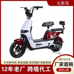国境を越えたメーカー卸売り二輪電気自動車電動自転車成人電気自動車対外貿易輸出