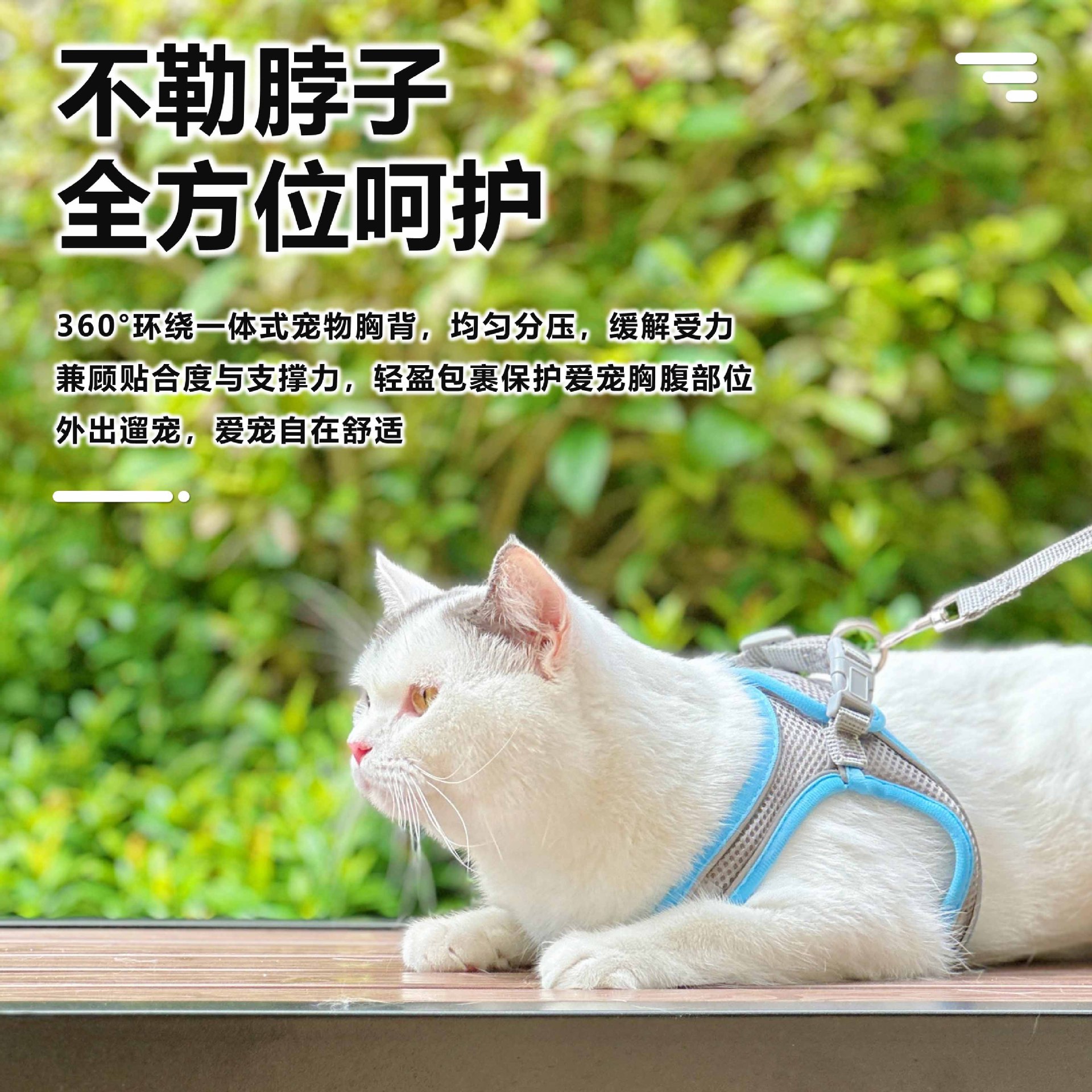 Cat Leash Anti-Escape Harness, Summer Outdoor Special Cat Walking Harness, Vest-Style Chest Harness Cat Leash Supplies