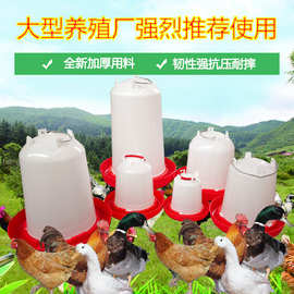 工厂批发全新加厚用料鸡鸭鹅用饮水桶小鸡自动饮水器鸡用饮水壶