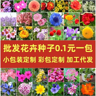 ���lС���b�N���߲˷���ǹ����W���Y���׷N��ͥ�@ˇ���ܲʰ�����