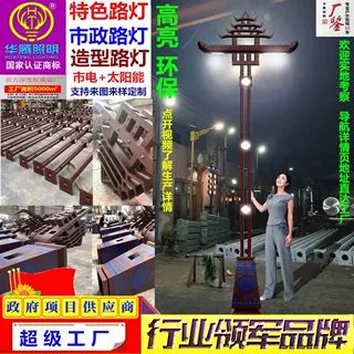 定制市政路灯 5米12米双臂LED市政道路灯迎宾大道造型特色路灯