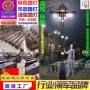 双臂定制市政特色道路灯