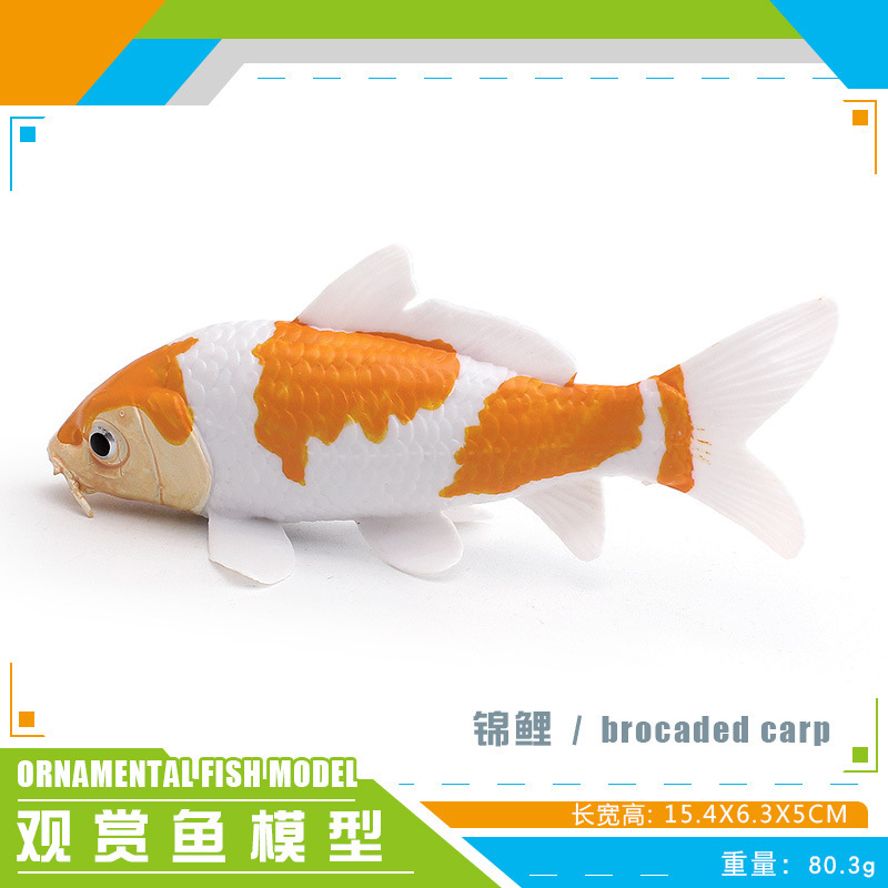 PL127 - 4157 Koi 80.3g