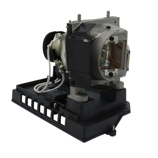 60003130 U300X U310W NEC projector lamp NP20LP