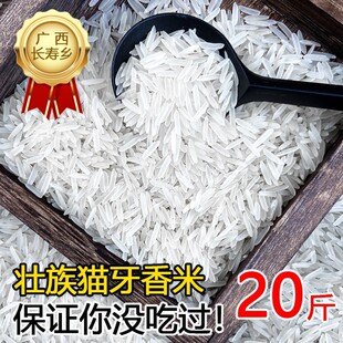 �V������؈������2026���L������20�������r�Ҿ��x�z����5��10��