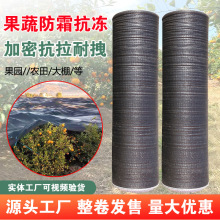 加密黑色防寒网 果园果树蔬菜防霜防冻网大棚农用黑色防晒遮阳网