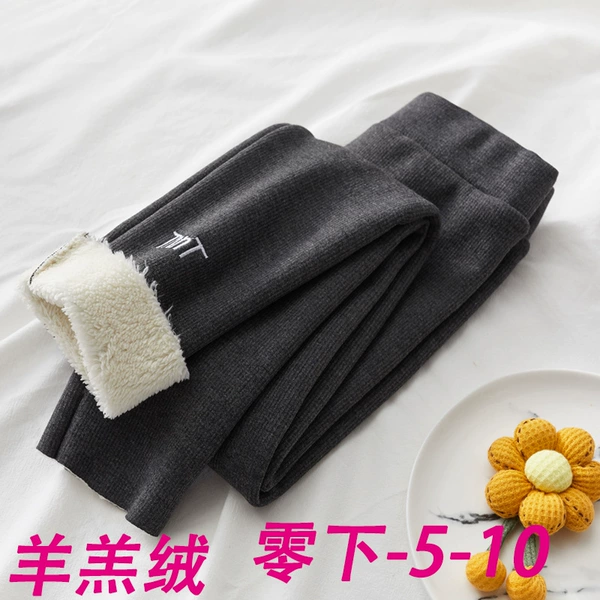Lamb dwarn dark gray