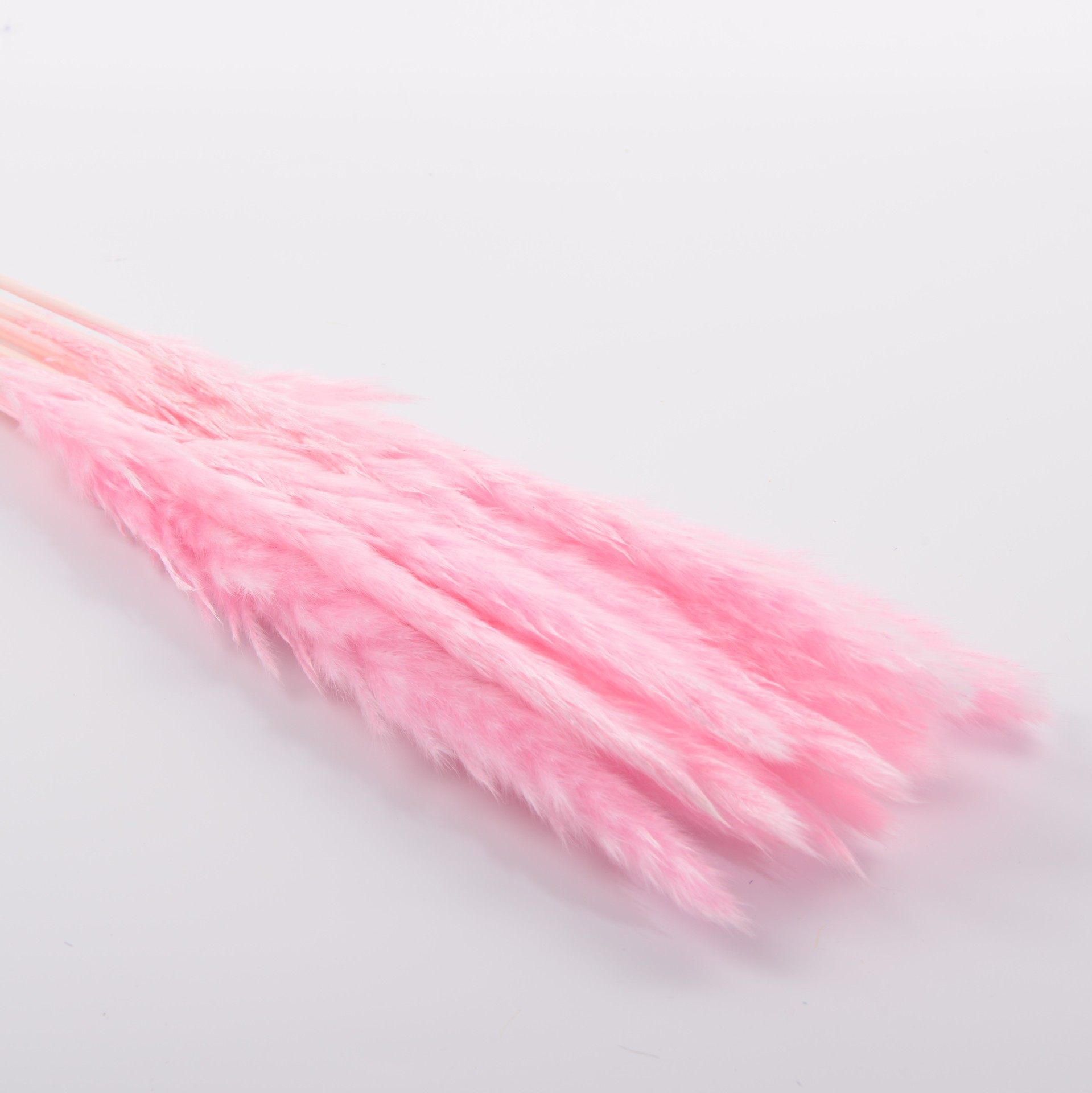 브라이트 핑크 15개입