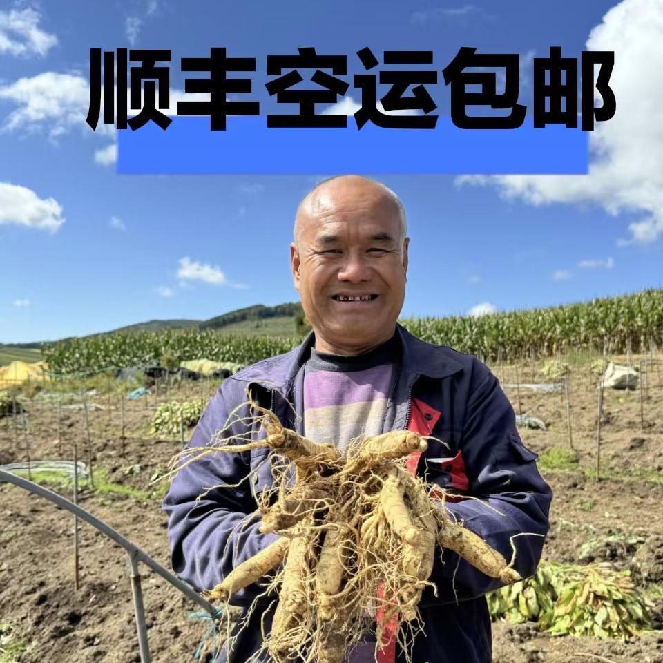 新鲜长白山鲜人参整根一件代发泡酒煲汤酒瓶参滋补品东北特产送礼