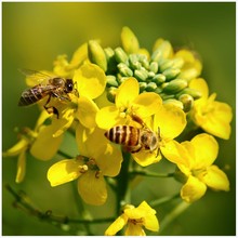 Դֲ ļ۷仨NͲ˻NӴ̻Ӣ໨ľm@