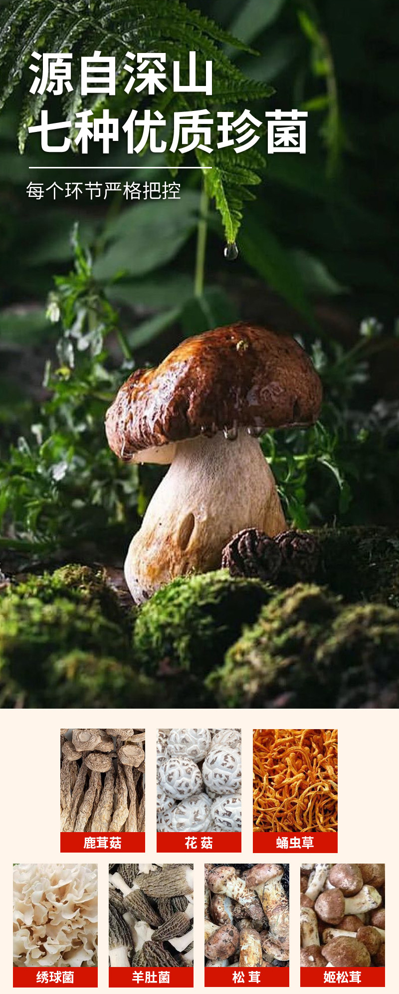 Yunnan Seven-Color Mushroom Soup Pack — Dried Morel & Sparassis Edible Fungus Medley quality and texture
