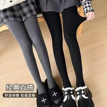 加绒加厚连裤袜秋冬款螺纹打底裤外穿显高显瘦经典百搭踩脚袜批发