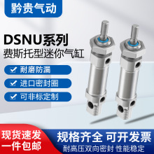 DSNU-8*10-12-16-20-25-32-40-50-63x25/50/75/100/125…