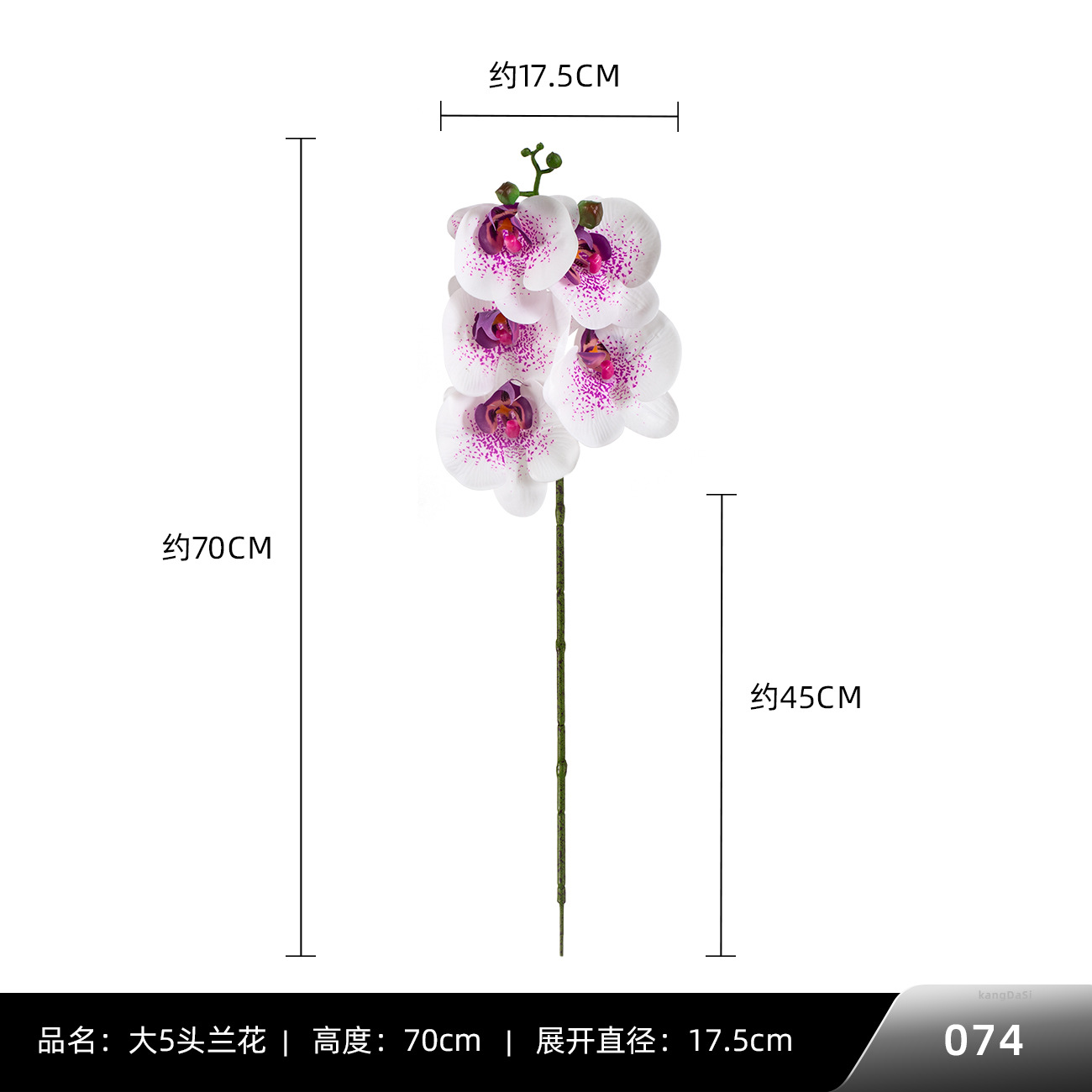 074 # 빅 5 호접란
