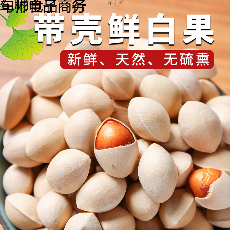 年新鲜白果子银杏果生百果仁无漂白带壳白果批发徐州邳州特产