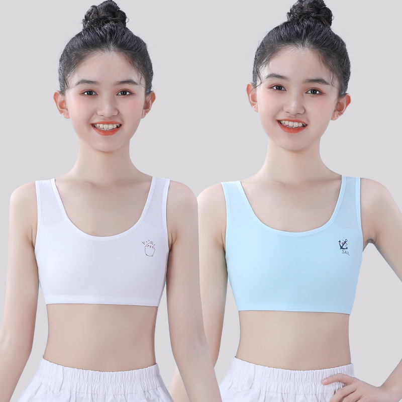 [2팩] 화이트 + 블루