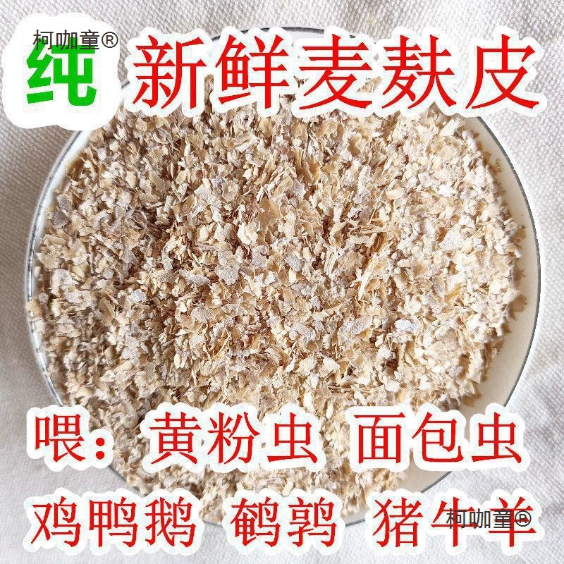 Корм для кур пшеничные отруби корм для кур уток гусей корм для жуков-мясников корм для крупного рогатого скота овец пшеничные отруби корм для жуков-мясников горячий компресс Metabo