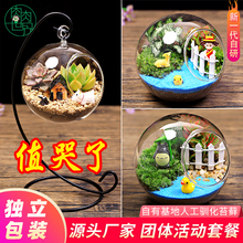 桌面青苔藓多肉微景观生态瓶 手动儿童迷你盆栽绿植物造DIY材料包