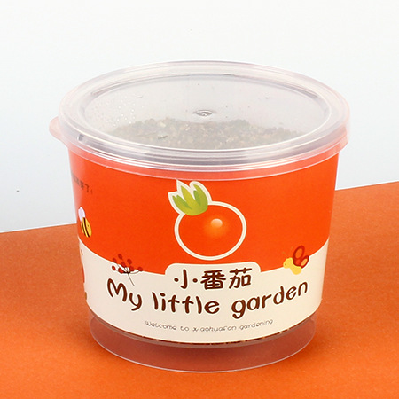 Niños plantan pequeños jardines de infantes fresas plantas de mesa mini caja ciega diy verde juguetes puestos al por mayor image 14