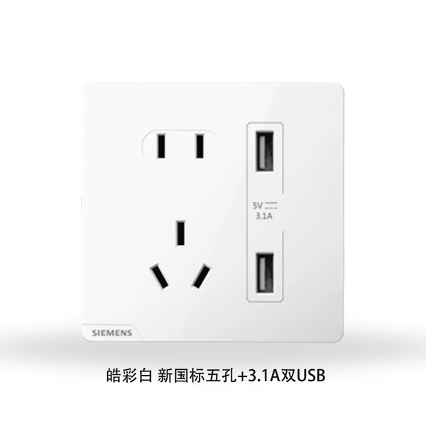 Five -hole +2 -bit (2.1A USB)
