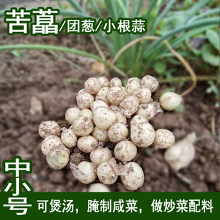 �����خa��ˊ�r�Ұ�Ұ���������r���ޯ��С����Ұ�[�F�[Ұ��