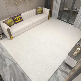 新西兰 进口羊毛地毯客厅茶几纯色素色日式侘寂极简卧室满铺地毯