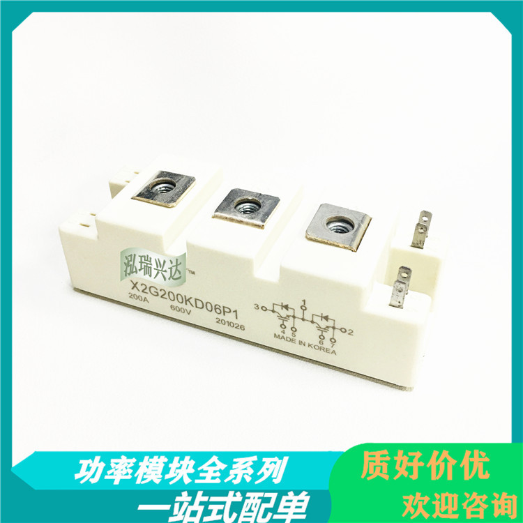 X2G200RD06P1 X2G150ND06P1 X2G100ND06P1 X2G200ND06P1 功率模块