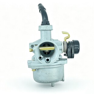 PZ19 �����L�T������ �m�� 110cc ����Ħ��܇ ���I��I������