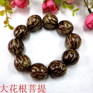 �Ԯa���N��Ƥ������p��ɏ�������ִ��󻢰߼y����������ؔ�