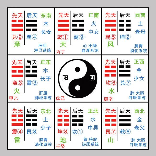 周易知识后天八卦十二时辰中医五行养生画对应太极图不干胶贴纸