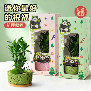 ���F��ֲ��͏d��ؔ���ӹ��������҃�����[���k���ҾGֲ���ԶY��