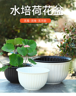 38 free shipping hydroponic pot lotus water lily copper money grass purple sand bowl lotus pot small goldfish non-porous large resin flower pot