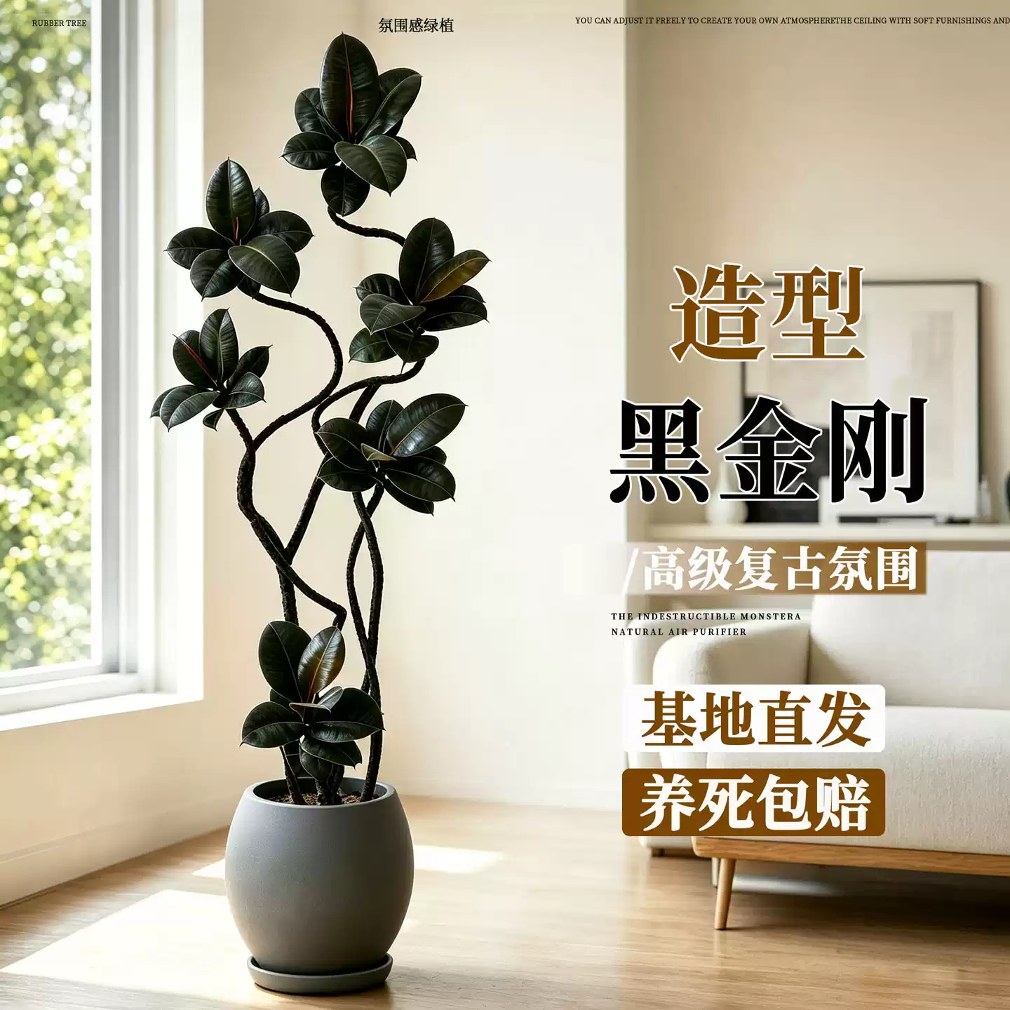 商品图