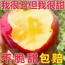 【甜炸了】冰糖心丑蘋果水果應季水果批發蘋果紅富士孕婦水果包郵