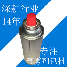 Һ��ú�ⶡ�郦��މ����� LPG��y���F�� ��ʽ�tСƿ���ú���