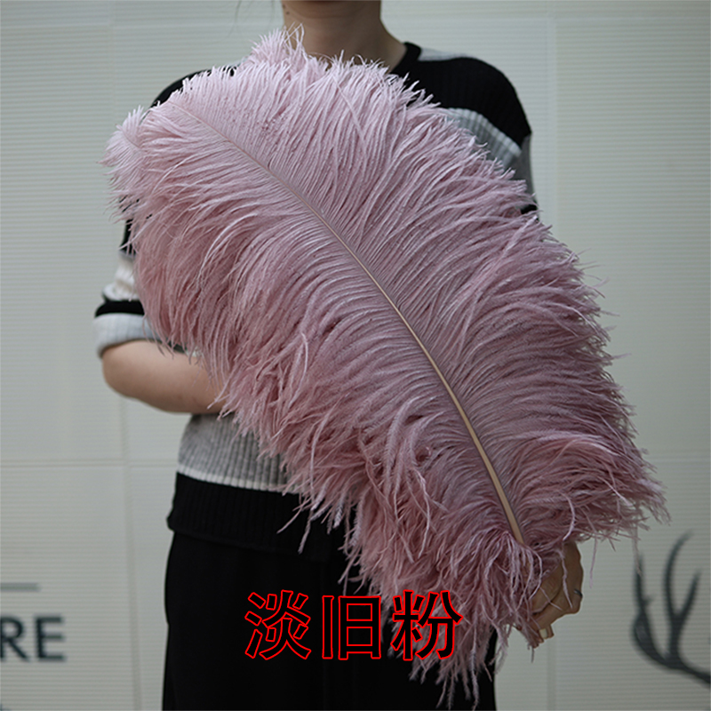 Plumas de avestruz bodas blancas de avestruz guía de plumas accesorios de fotos adornos rojo rosado en línea grandes plumas decoración