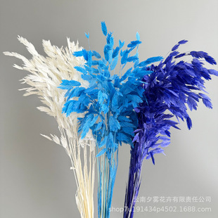 ������ƯɫС�βݚ��|�����ֹ�diy�b߼��Ҿ��b廨�S��ֱ�l