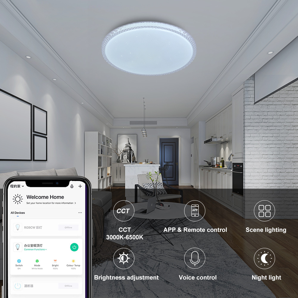 WIFI涂鴉Tuya圓形吸頂燈客廳臥室燈廚房家用吸頂燈簡約LED吸頂燈