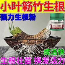 пС~{÷焩ľԻܾGֲþw