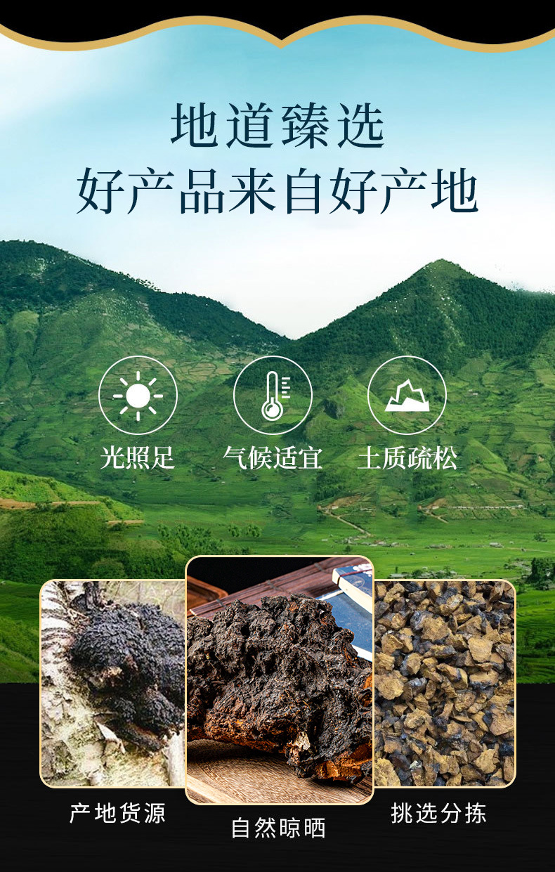 Chaga Mushroom Powder (Inonotus obliquus) — Wild Northeast Birch Chaga, 500g overview
