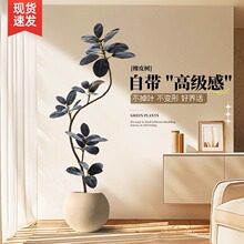 ����Gֲ�ڽ�����Ƥ��͏d�������쾰�����٘�Gֲ��߶��p�ݔ[��