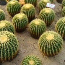 ��̖�����������������҃ȶ���ֲ����������҃ȷ�ݗ���������