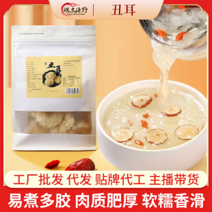 ��������y�����l�S�����ľ�����zŴ��ѩ���خa��؛С�y������l