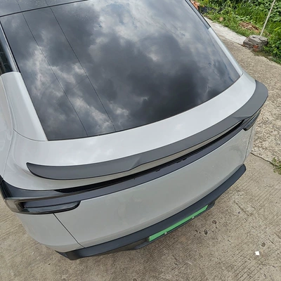 Fixed wind wing: Tesla Version, No Drilling