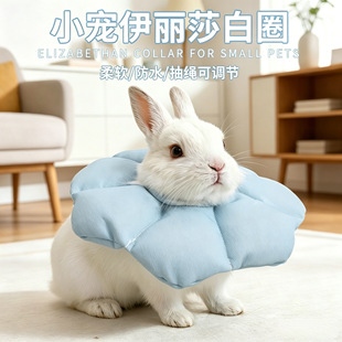 �羳�F؛С����������ɯ��Ȧ������ܛ�����Ȧ��ץ������oȦ���S