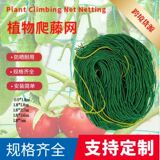 Крест -болотный завод посадка на посадку сетки садового платья поддержка квадратная сеть.