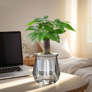 �G�}�j�lؔ��d�ӻ��������҃�����С�Gֲ�k����ˮ��ֲ������՚�